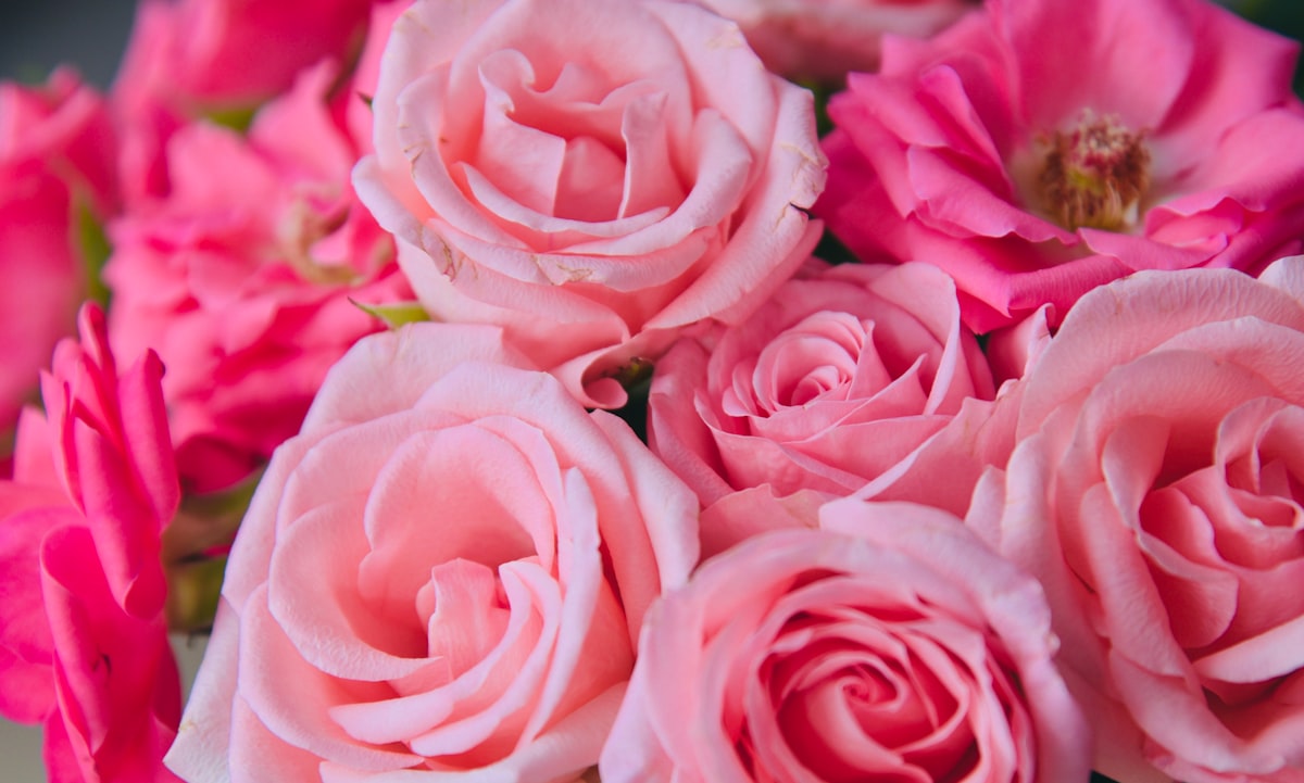 The Romantic floral arrangement